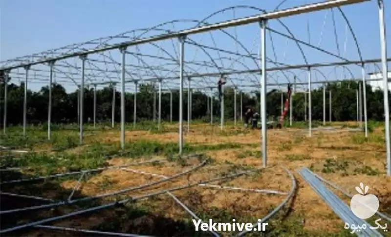 ارائه دهنده ی بهترین قیمت سازه در گروه سازنده در یکمیوه -عکس1