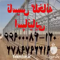 قیمت خرید تاسیس گلخانه اسپانیایی در تهران در گروه خرید و فروش سوله و سازه گلخانه در یکمیوه
