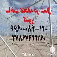 ساخت گلخانه در تهران در گروه سازنده در یکمیوه
