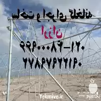 ساخت و اجرای گلخانه ارزان در تهران در گروه سازنده در یکمیوه