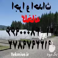 اجرا احداث گلخانه زیر قیمت بازار در تهران در گروه سازنده در یکمیوه