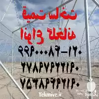 قیمت ساخت انواع گلخانه در گروه سازنده در یکمیوه