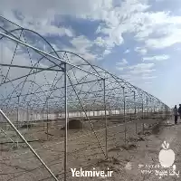 قیمت خرید تولید در تهران در گروه خرید و فروش سوله در یکمیوه