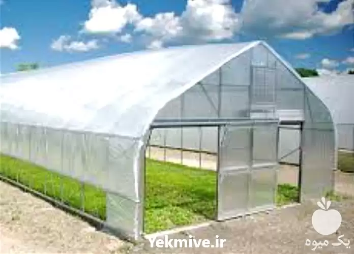 احداث گلخانه طراحی و اجرا در گروه سازنده در یکمیوه -عکس1