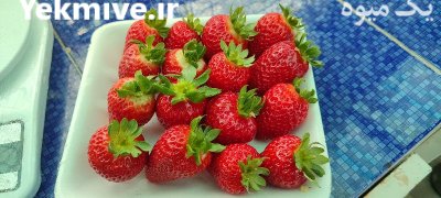 فروش میوه توت فرنگی در گروه خرید و فروش توت فرنگی در یکمیوه -عکس3