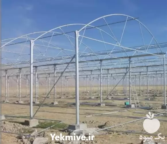 احداث و نصب گلخانه در گروه سازنده در یکمیوه -عکس1