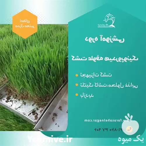 آموزش صفر تا صد دوره آموزشی در کرج در گروه دوره آموزش کشاورزی در یکمیوه -عکس1