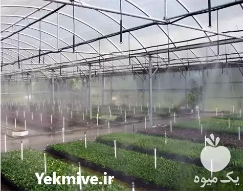 فروش مهپاش صنعتی در ساری در گروه خرید و فروش دستگاه آبیاری در یکمیوه -عکس1