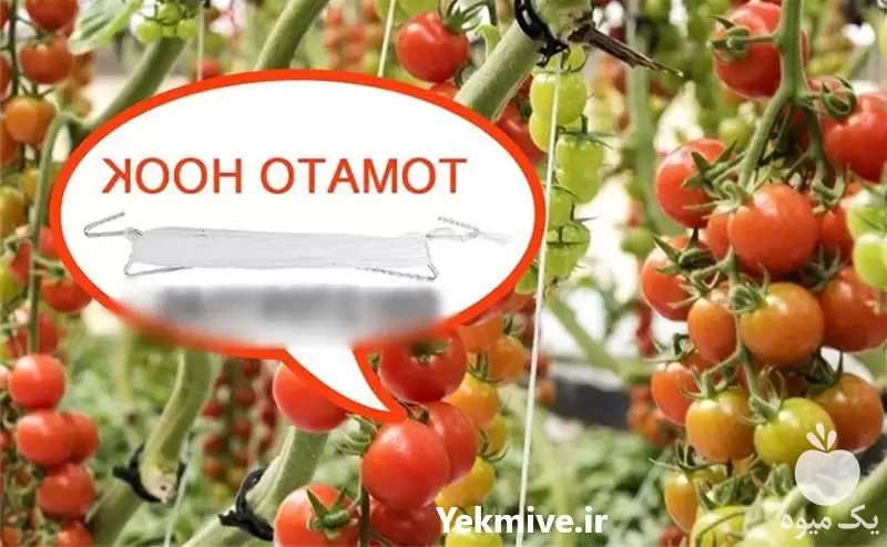 فروش قلاب گالوانیزه آویز نخ در گروه خرید و فروش تجهیزات گلخانه در یکمیوه -عکس1