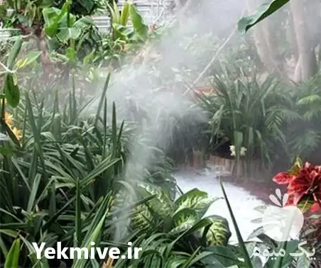 مه پاش و رطوبت ساز صنعتی در گروه خرید و فروش رطوبت ساز در یکمیوه -عکس1