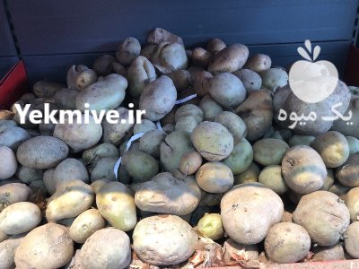 سیب زمینی کهنه در تبریز در گروه خرید و فروش سیب زمینی در یکمیوه -عکس3