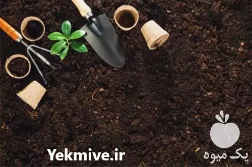 قیمت خرید تامین خاک کود مناسب در تهران در گروه انواع محصولات خاک و تغذیه در یکمیوه -عکس1