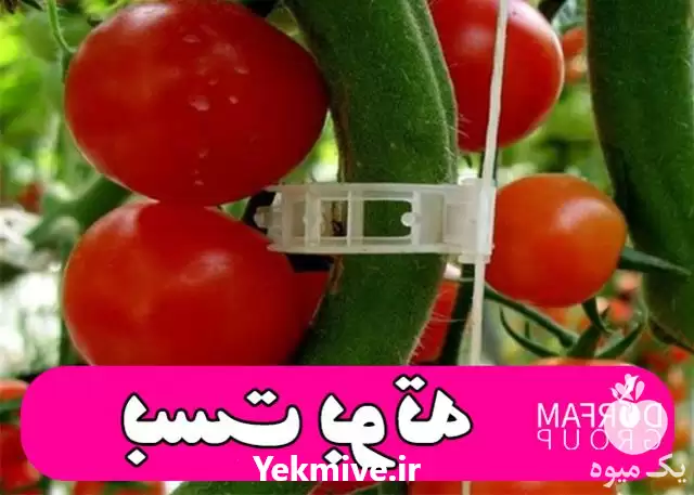 قیمت خرید بست بوته در گروه خرید و فروش تجهیزات گلخانه در یکمیوه -عکس1