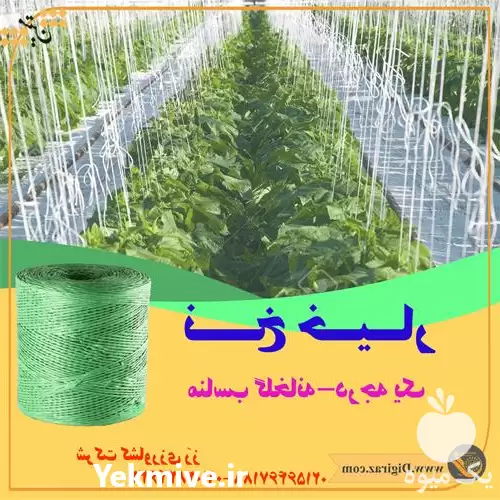 قیمت خرید نخ گلخانه خیار در تهران در گروه خرید و فروش تجهیزات گلخانه در یکمیوه -عکس1
