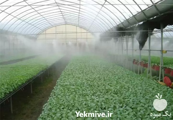 فروش مه پاش گلخانه در ارومیه در گروه خرید و فروش رطوبت ساز در یکمیوه -عکس1