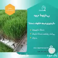 آموزش صفر تا صد دوره آموزشی در کرج در گروه دوره آموزش کشاورزی در یکمیوه