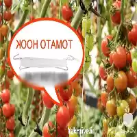 فروش قلاب گالوانیزه آویز نخ در گروه خرید و فروش تجهیزات گلخانه در یکمیوه