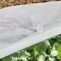 فروش اسپان باند کشاورزی در گروه خرید و فروش لوازم باغبانی در یکمیوه