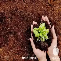 قیمت خرید تامین خاک کود در گروه انواع محصولات خاک و تغذیه در یکمیوه