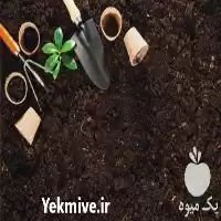 قیمت خرید تامین خاک کود مناسب در تهران در گروه انواع محصولات خاک و تغذیه در یکمیوه