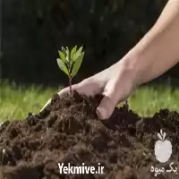 تامین خاک برای پروژههای فضای سبز در تهران در گروه سازنده در یکمیوه