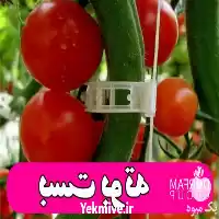 قیمت خرید بست بوته در گروه خرید و فروش تجهیزات گلخانه در یکمیوه