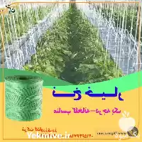 قیمت خرید نخ گلخانه خیار در تهران در گروه خرید و فروش تجهیزات گلخانه در یکمیوه