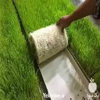 دوره آموزشی کسب در آمد در سمنان در گروه دوره آموزش کشاورزی در یکمیوه