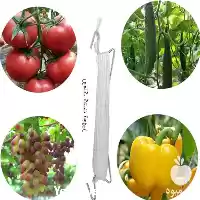 فروش قلاب فلزی نگهدارنده بوته تک در تهران در گروه خرید و فروش تجهیزات گلخانه در یکمیوه