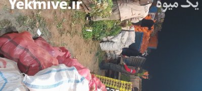 بارفروشی و حق العمل کاری تبریز در گروه بارفروشی محصولات کشاورزی در یکمیوه -عکس1