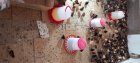 آگهی مشابه جوجه گلپایگانی دوروزه در آق قلا در گروه مرغ و خروس و بوقلمون و اردک قو قاز در یکمیوه