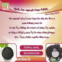 قیمت خرید کود گرانول هیومیک اسید در اردکان در گروه خرید و فروش انواع کود کشاورزی در یکمیوه