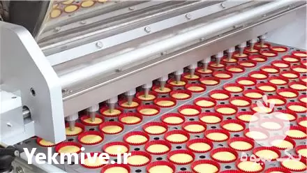 فروش مشاوره راه اندازی خط تولید در گروه خرید و فروش خط تولید در یکمیوه -عکس1