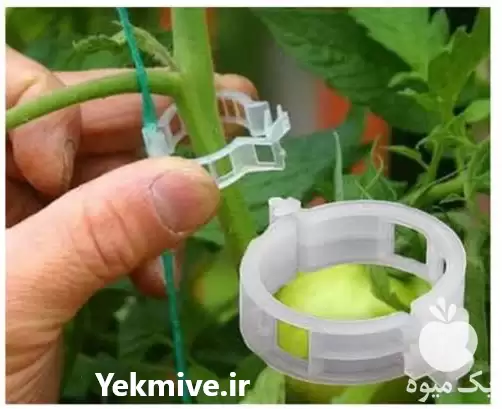 تامین و فروش بست گلخانه در تهران در گروه خرید و فروش تجهیزات گلخانه در یکمیوه -عکس1