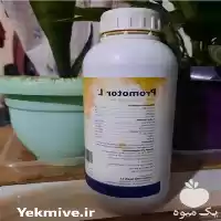 قیمت خرید انواع مکمل تقویتی در تهران در گروه خرید و فروش زنبورعسل در یکمیوه