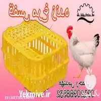 فروش سبد مرغ زنده در قائم شهر در گروه خرید و فروش انواع سبد در یکمیوه