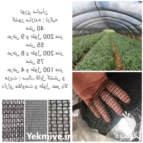 مرکز فروش شید گلخانه در تهران در گروه خرید و فروش توری گلخانه در یکمیوه -عکس1