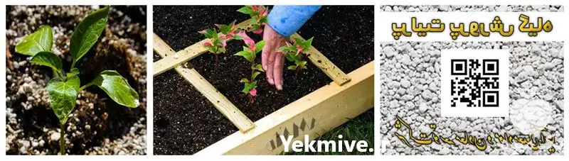 فروش انواع بسترهای کشت پرلیت در شیراز در گروه خرید و فروش انواع کود کشاورزی در یکمیوه -عکس1