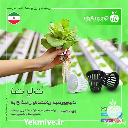 قیمت خرید نت پات در سمنان در گروه خرید و فروش گلدان در یکمیوه -عکس1