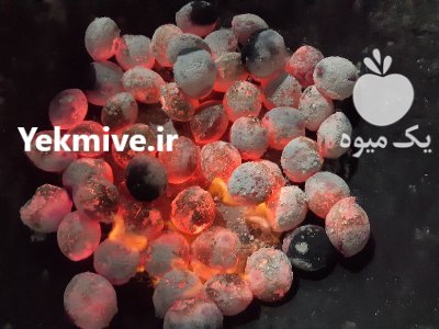 زغال باربیکیو فلافلی در مشهد در گروه خرید و فروش زغال در یکمیوه -عکس1