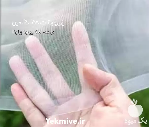 فروش توری ضد تریپس در تهران در گروه خرید و فروش توری گلخانه در یکمیوه -عکس1