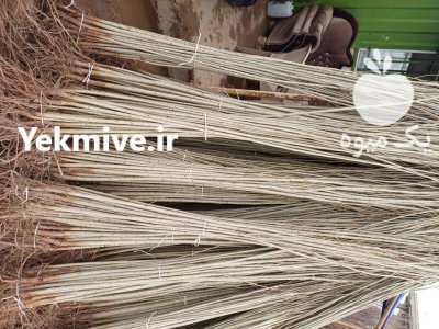 نهال و درخت سنوبر نهالستان مهدیزاده در ماکو در گروه خرید و فروش نهالستان در یکمیوه -عکس1