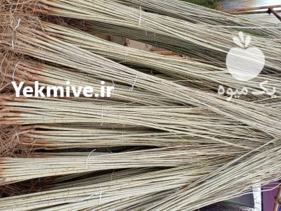 سنوبر سفید با کبوده درنهالستان مهدیزاده در گروه خرید و فروش نهالستان در یکمیوه -عکس1