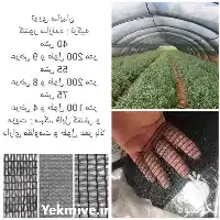 مرکز فروش شید گلخانه در تهران در گروه خرید و فروش توری گلخانه در یکمیوه