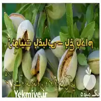 فروش زئولیت کود هوشمند توسعه معادن در سمنان در گروه خرید و فروش انواع کود کشاورزی در یکمیوه
