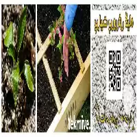 فروش انواع بسترهای کشت پرلیت در شیراز در گروه خرید و فروش انواع کود کشاورزی در یکمیوه