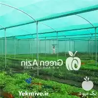 گرین آذین فروش انواع توری شید در تهران در گروه خرید و فروش توری گلخانه در یکمیوه