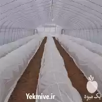 قیمت خرید شرکت تولید نایلون کشاورزی در گرگان در گروه خرید و فروش انواع پوشش ها در یکمیوه