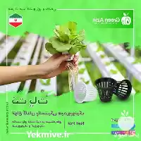 قیمت خرید نت پات در سمنان در گروه خرید و فروش گلدان در یکمیوه