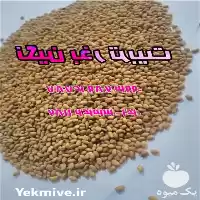 قیمت خرید بذر یونجه پایه بلند در گروه خرید و فروش بذر یونجه در یکمیوه